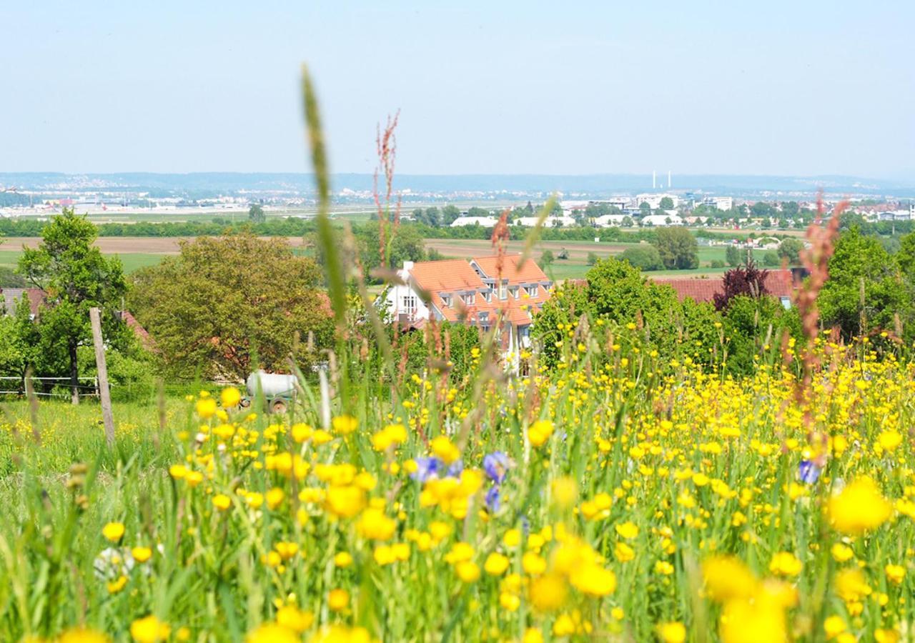 Hotel Alber Leinfelden-Echterdingen Luaran gambar